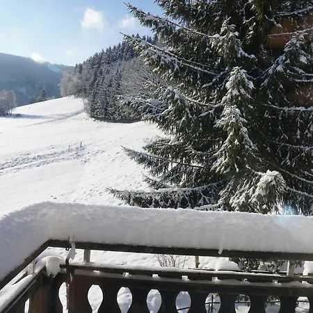 Uebernachten Sie In Der Naehe Des Winterbergskilifts وينتربرغ