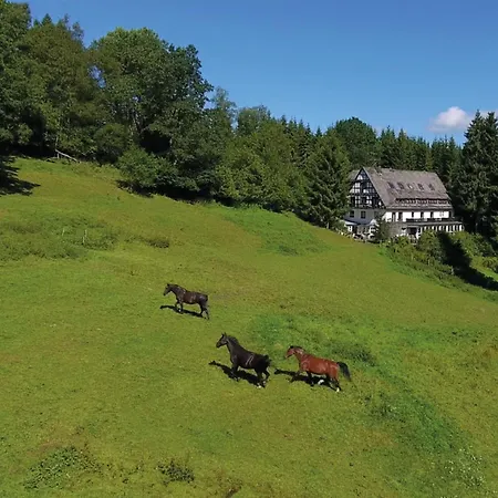 بيت للعطل Uebernachten Sie In Der Naehe Des Winterbergskilifts