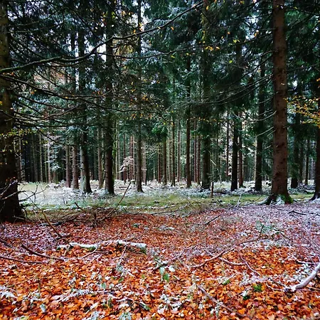 Near The Area In Winterberg