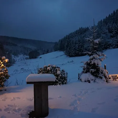Сasa de vacaciones Uebernachten Sie In Der Naehe Des Winterbergskilifts Winterberg