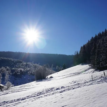 Uebernachten Sie In Der Naehe Des Winterbergskilifts Vakantiehuis