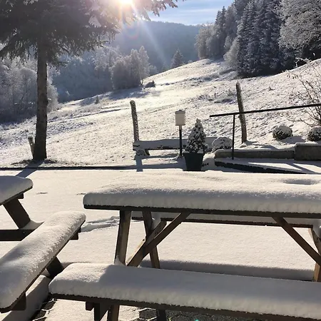 Uebernachten Sie In Der Naehe Des Winterbergskilifts بيت للعطل وينتربرغ