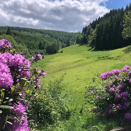 Near The Area In * Winterberg