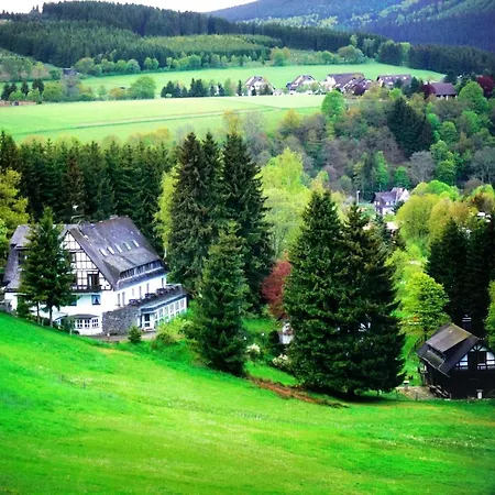 Near The Area In