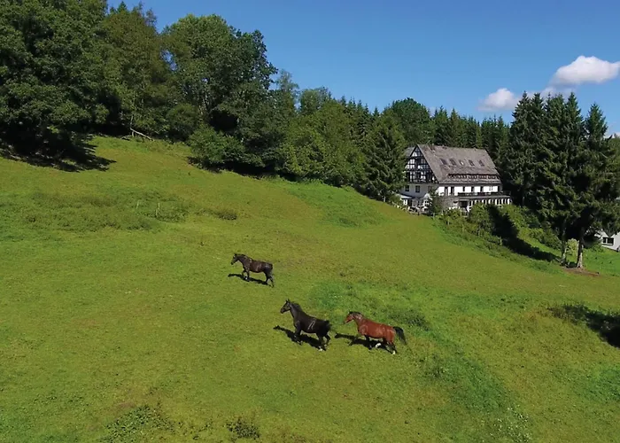 Ferienhaus Uebernachten Sie In Der Naehe Des Winterbergskilifts