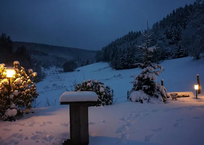 Ferienhaus Uebernachten Sie In Der Naehe Des Winterbergskilifts Winterberg