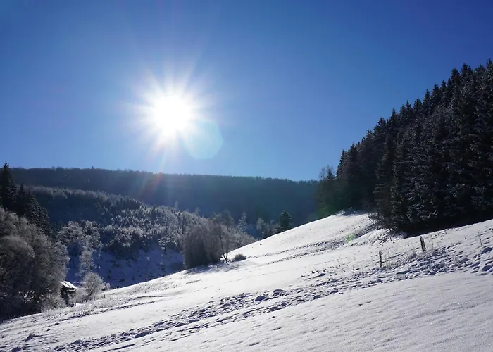 Uebernachten Sie In Der Naehe Des Winterbergskilifts Ferienhaus