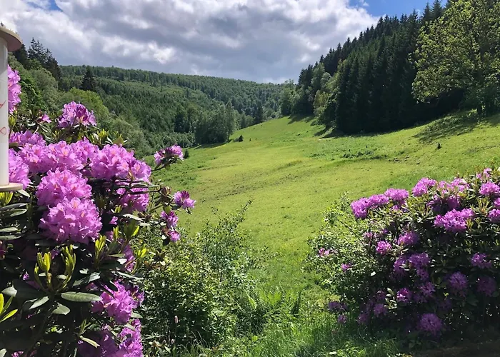 Uebernachten Sie In Der Naehe Des Winterbergskilifts * Winterberg